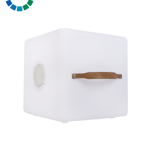 NIKKI the.cube color